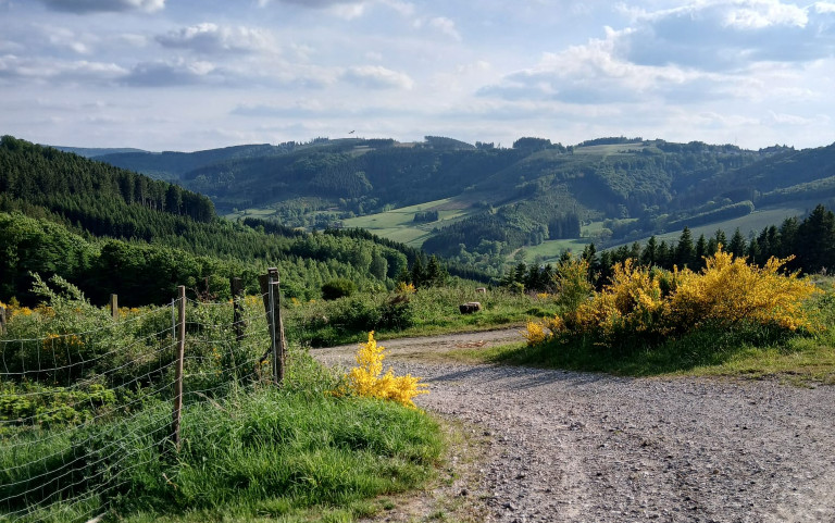 Wandern